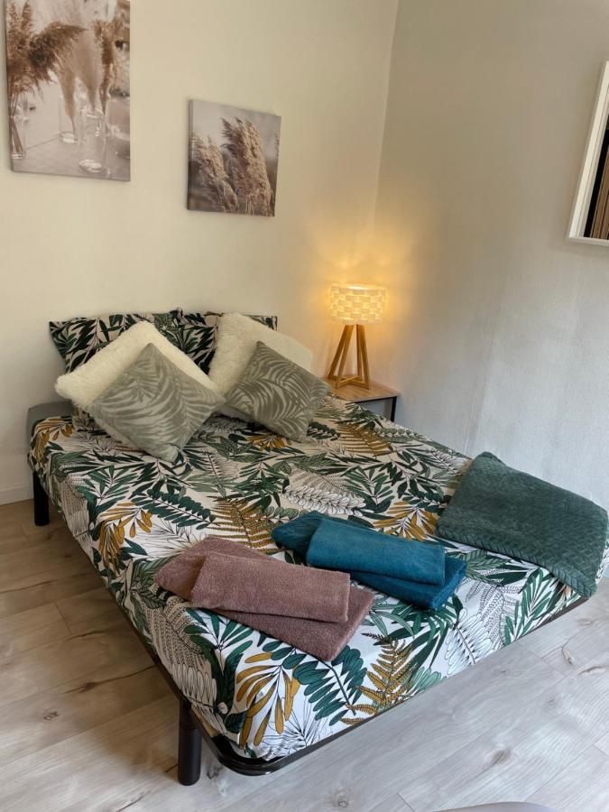T2 Plein Centre Au 1Er Etage Avec Parking Prive Apartman Millau Kültér fotó