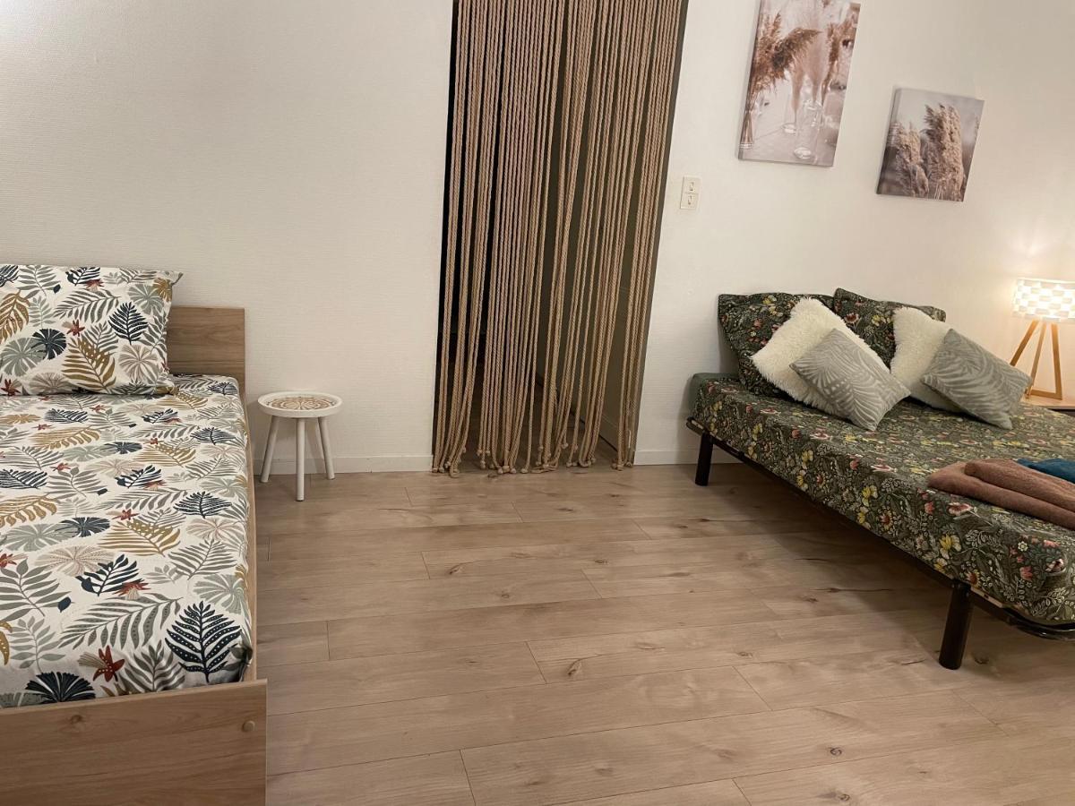 T2 Plein Centre Au 1Er Etage Avec Parking Prive Apartman Millau Kültér fotó